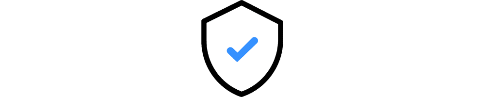 Website Security Standard